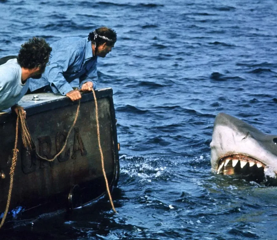 Jaws